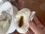 咬了一口的包子