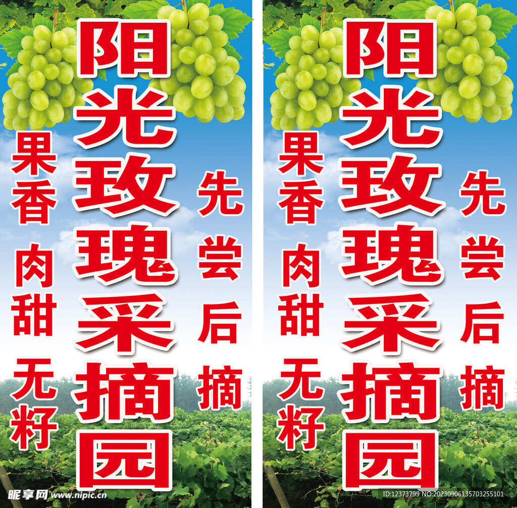 阳光玫瑰采摘园