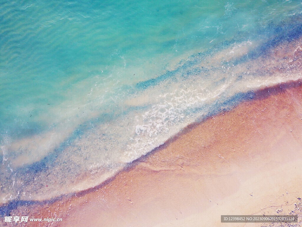 大海