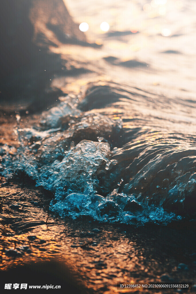 大海