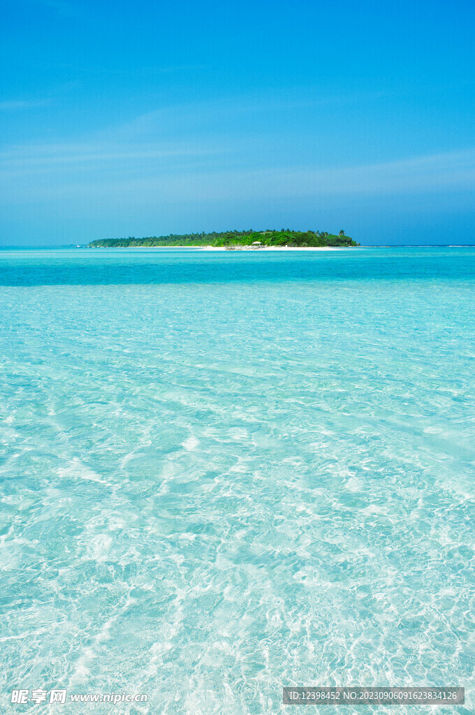 大海