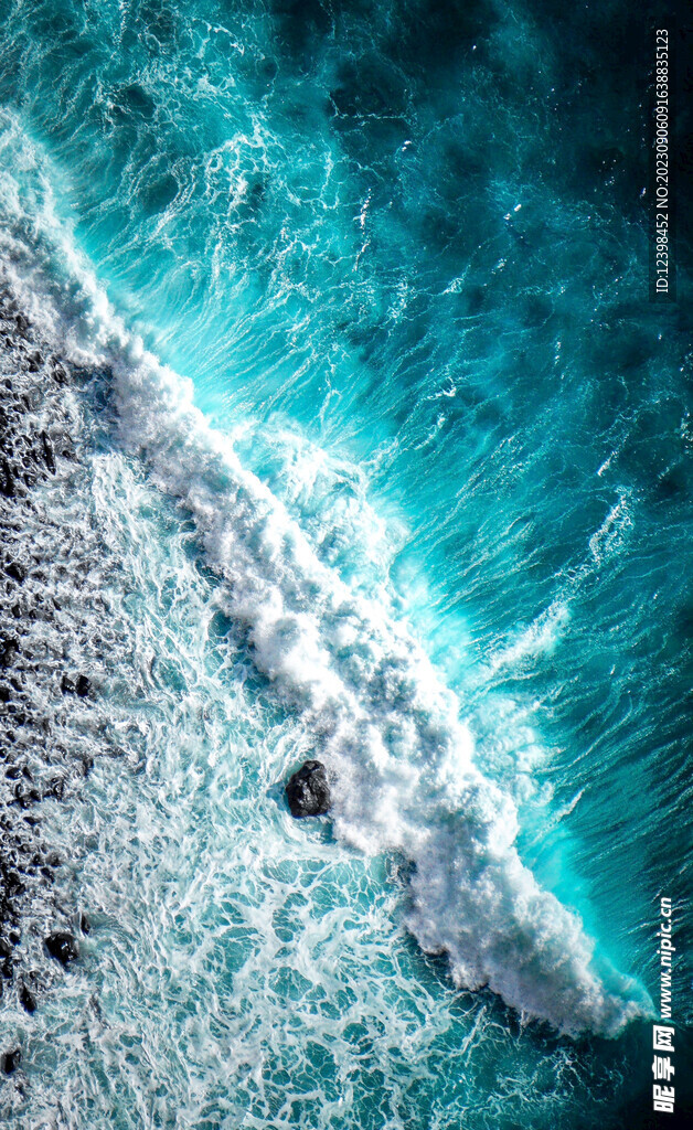 大海