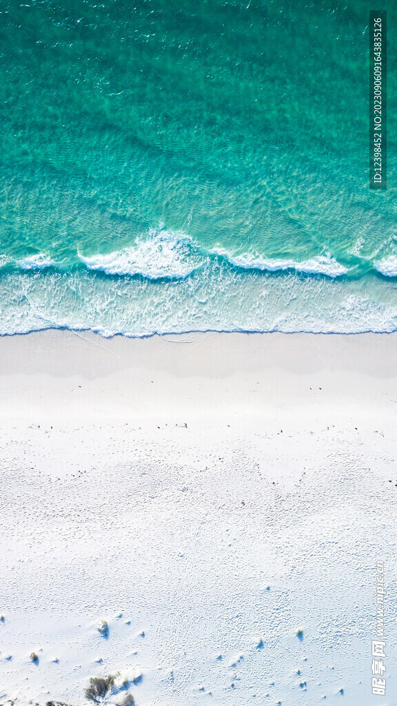 大海