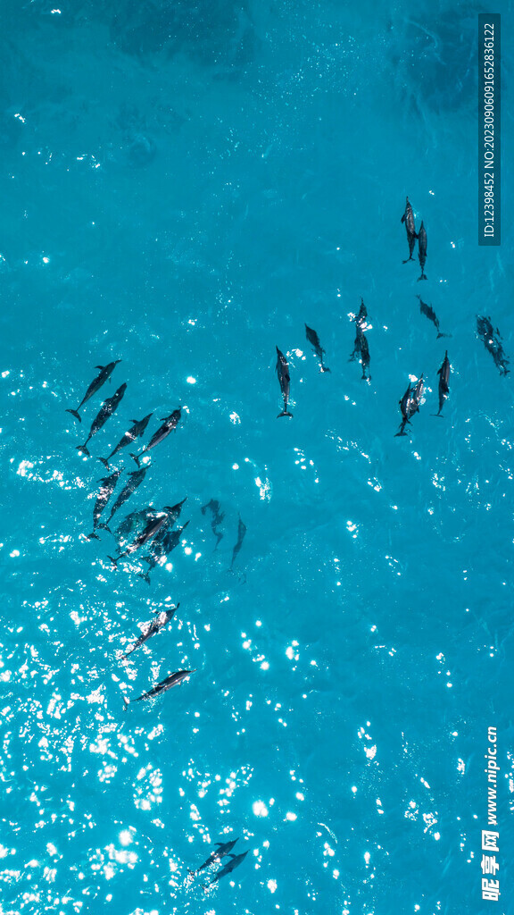 大海