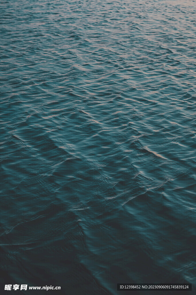 大海