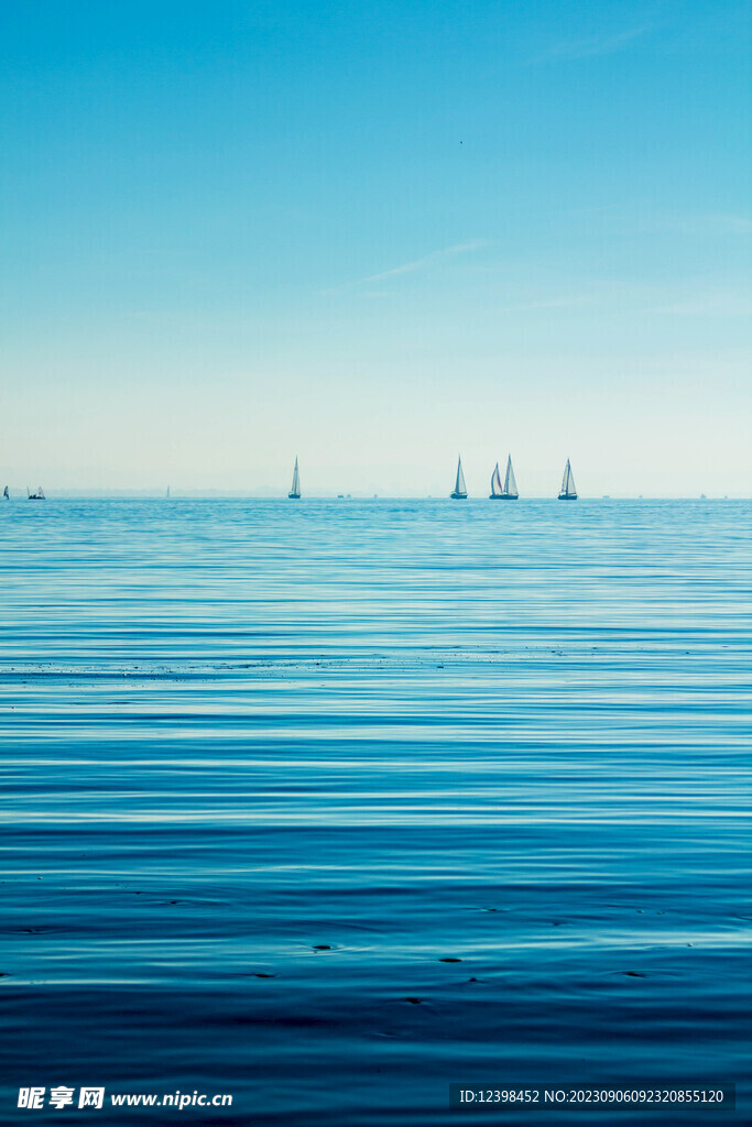 大海