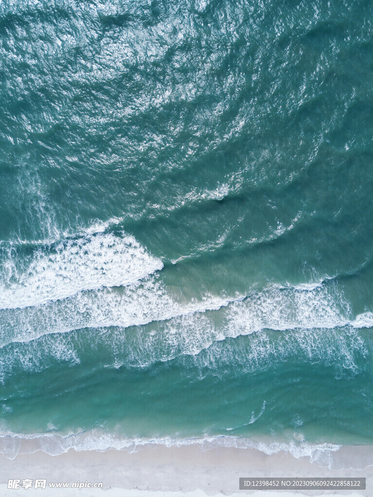 大海