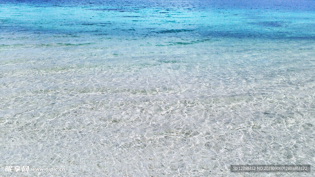 大海