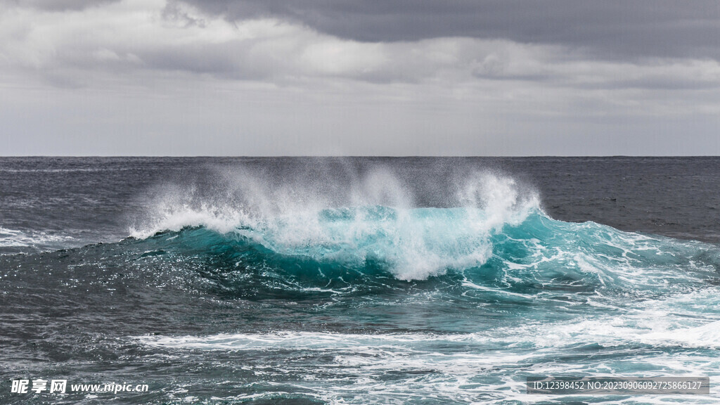 大海