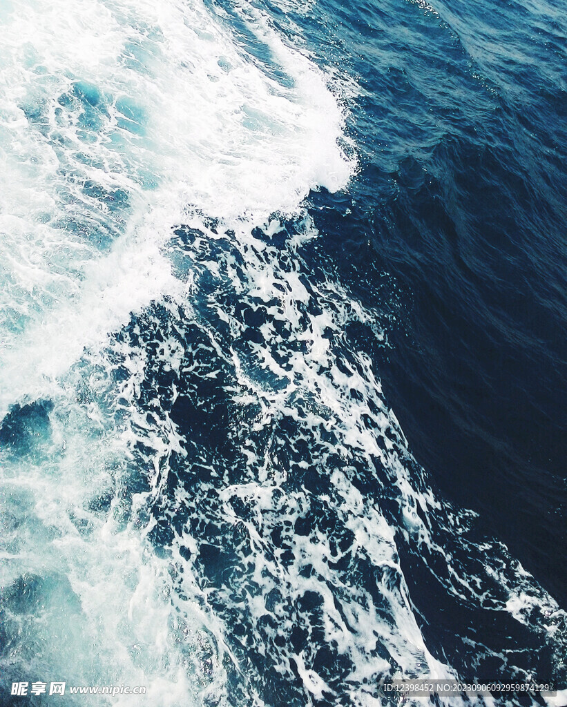 大海