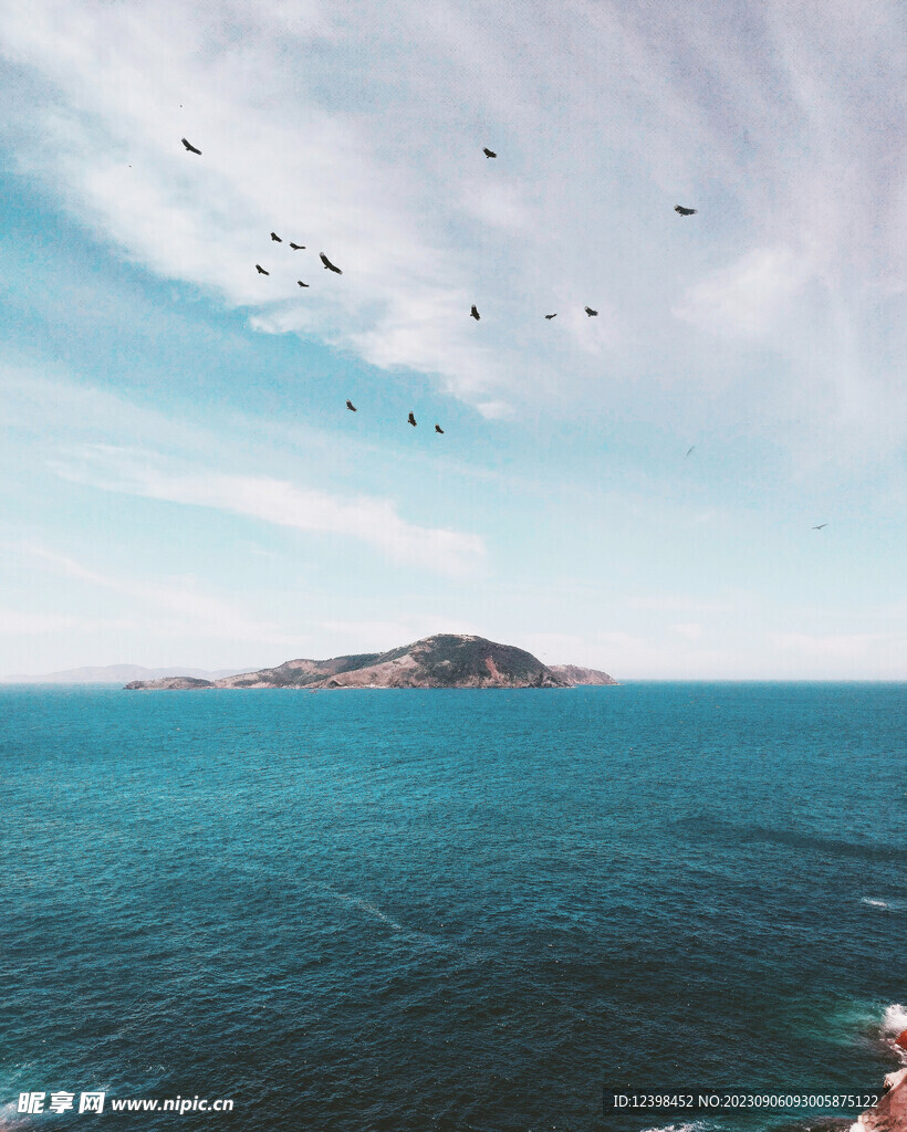 大海