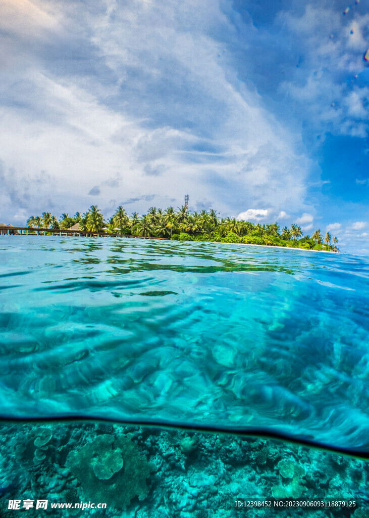 大海