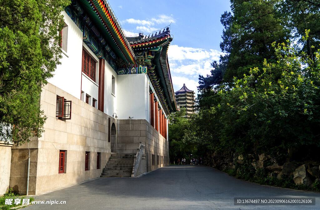 北京大学