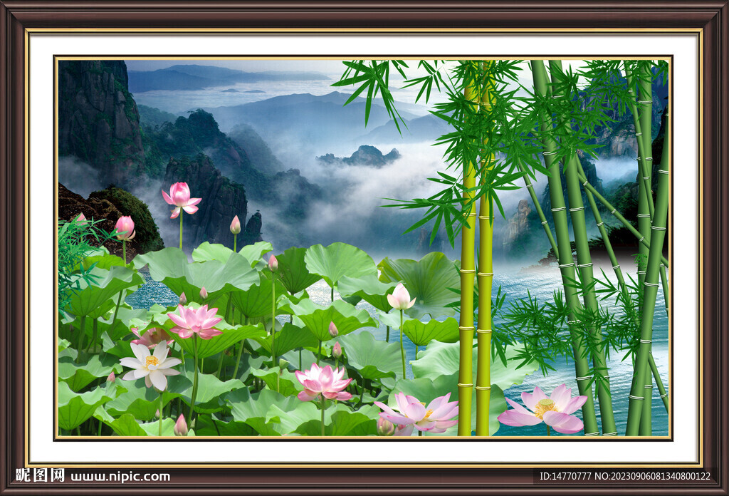 荷花 