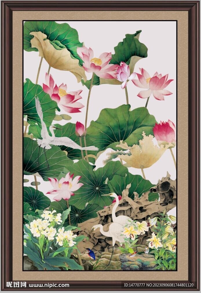 荷花 
