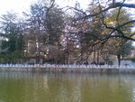 公园   
