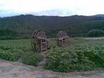 山林 