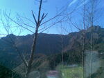 高山  