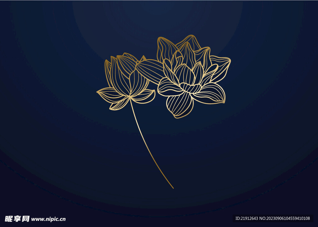 矢量莲花
