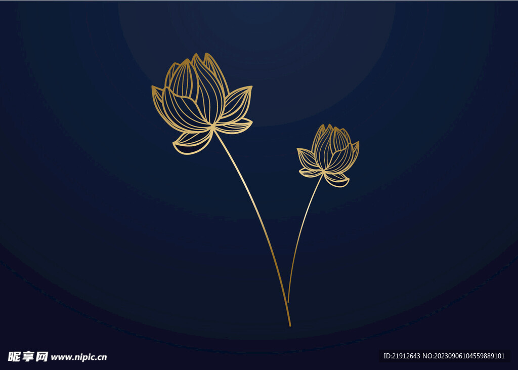 矢量莲花