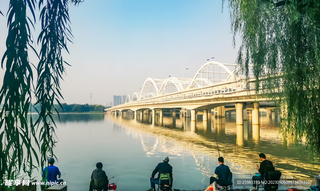 公路桥