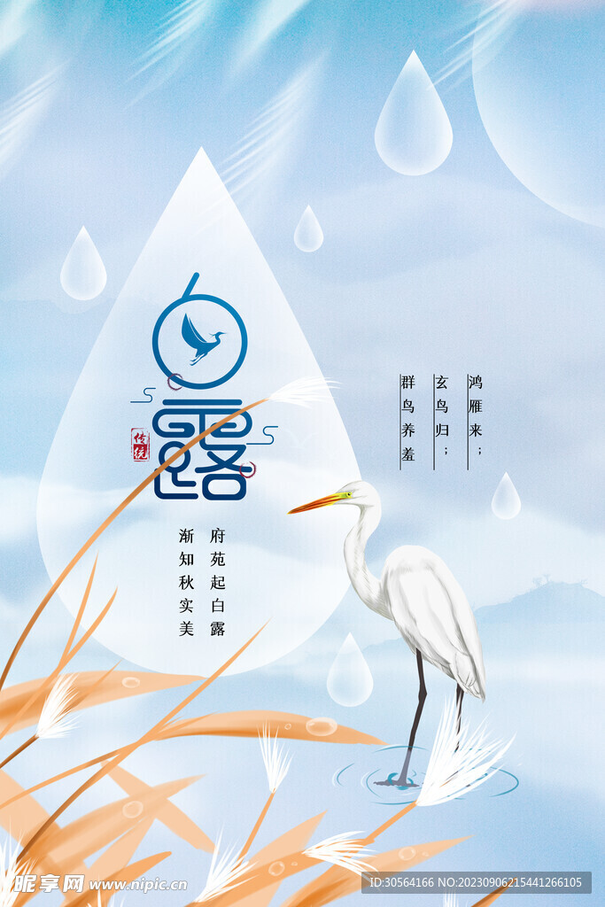 白露