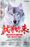 就等你来招聘海报