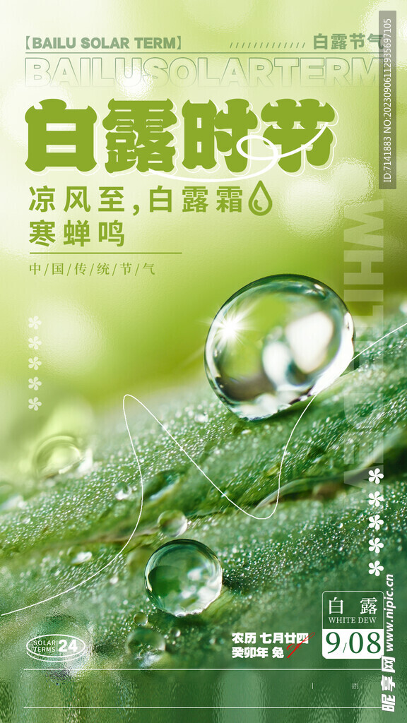 白露