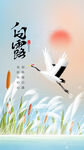 白露