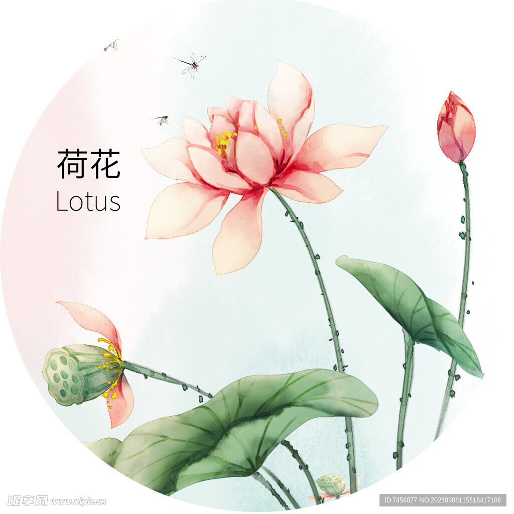 荷花水彩花卉圆形挂画装饰画