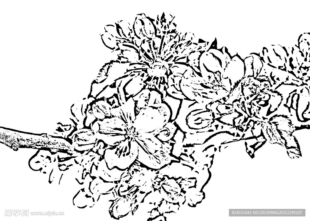 花鸟线描