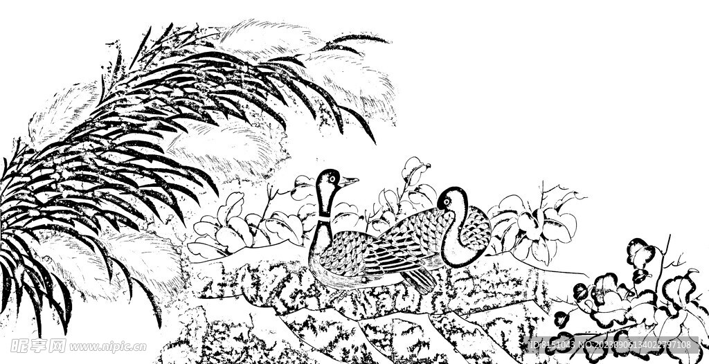 花鸟线描