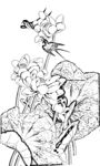 荷花线描