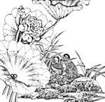 荷花线描