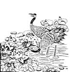 花鸟白描