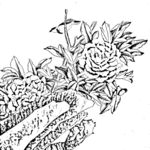 花鸟白描
