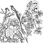 花鸟白描