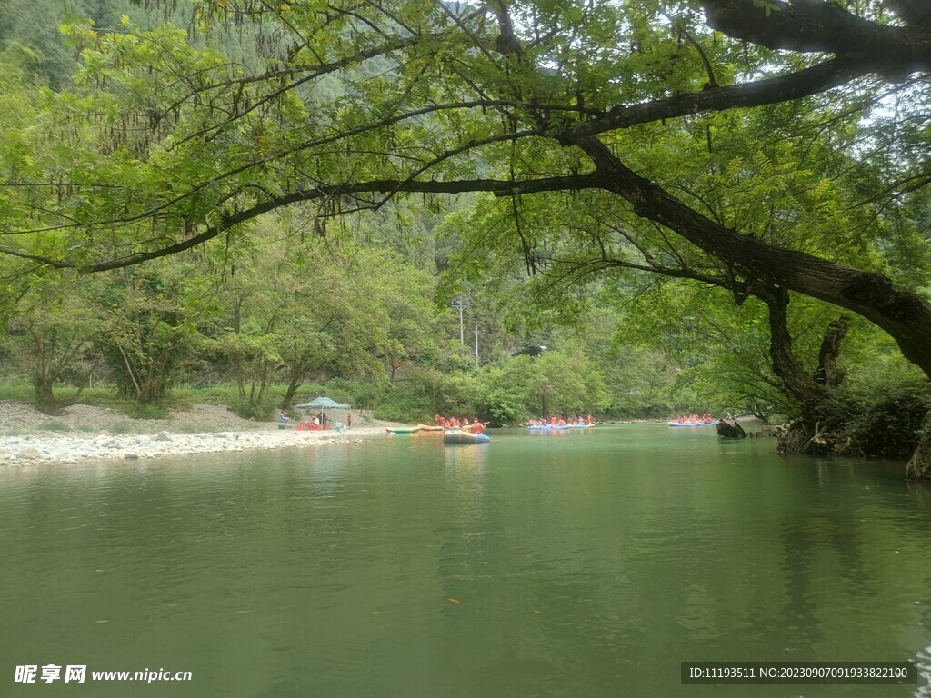 绿色湖面