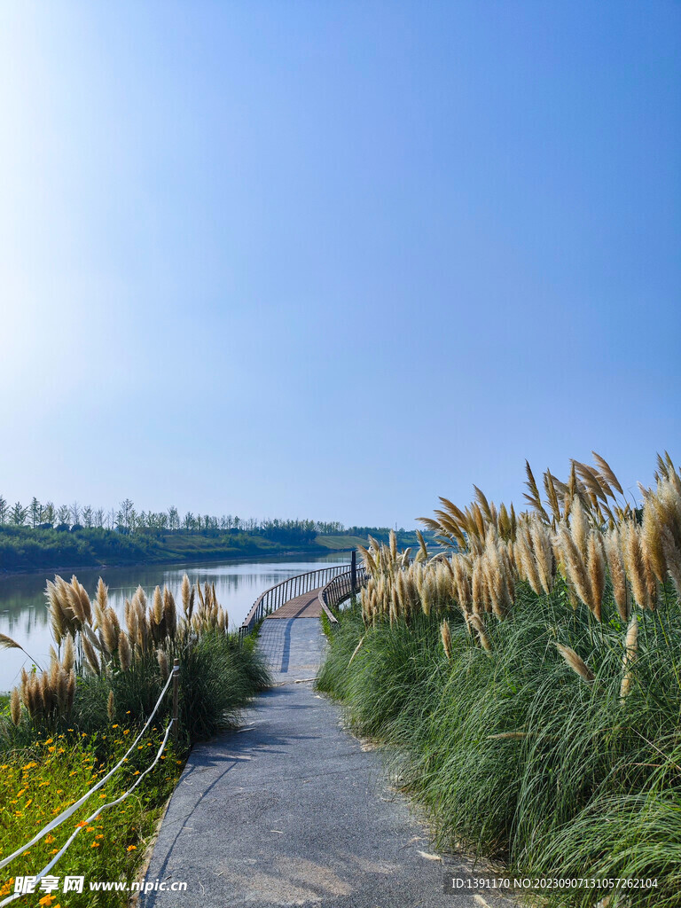 梁家滩公园美景