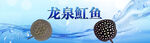 电商活动海报