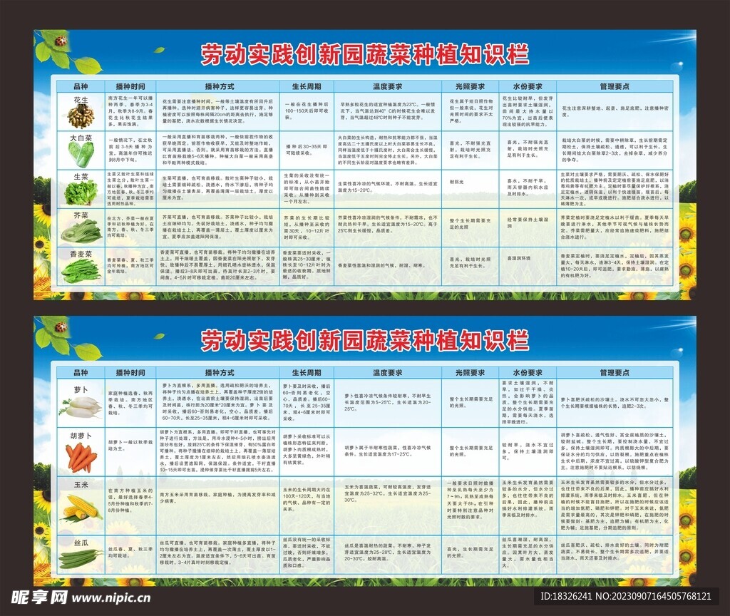 劳动实践创新园蔬菜种植知识栏