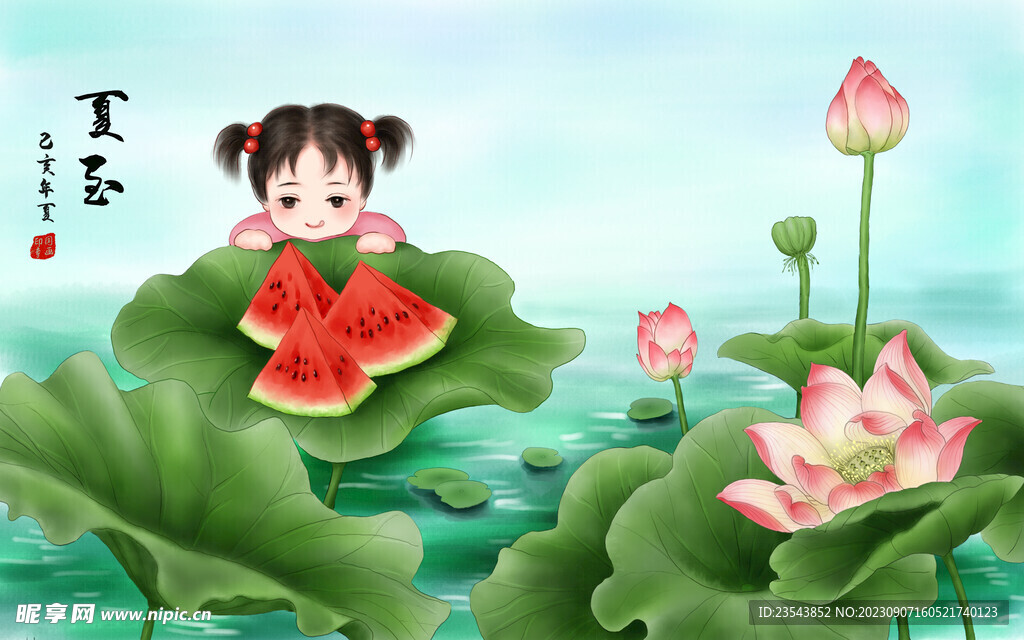 夏至荷花