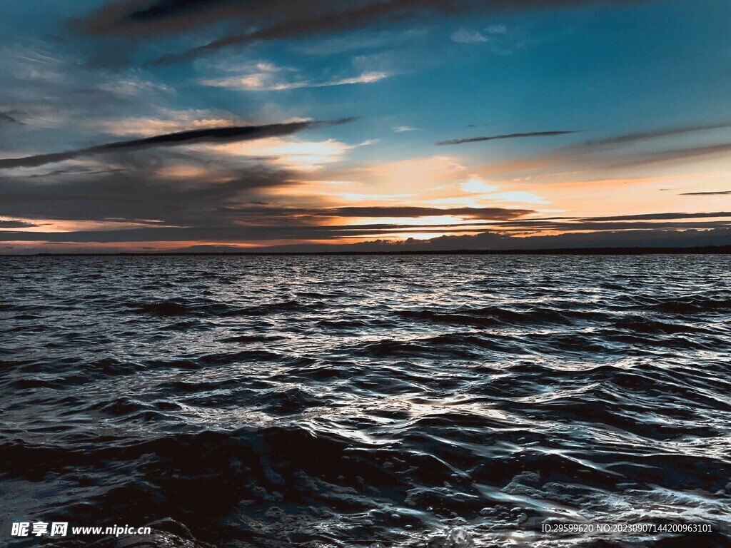 大海