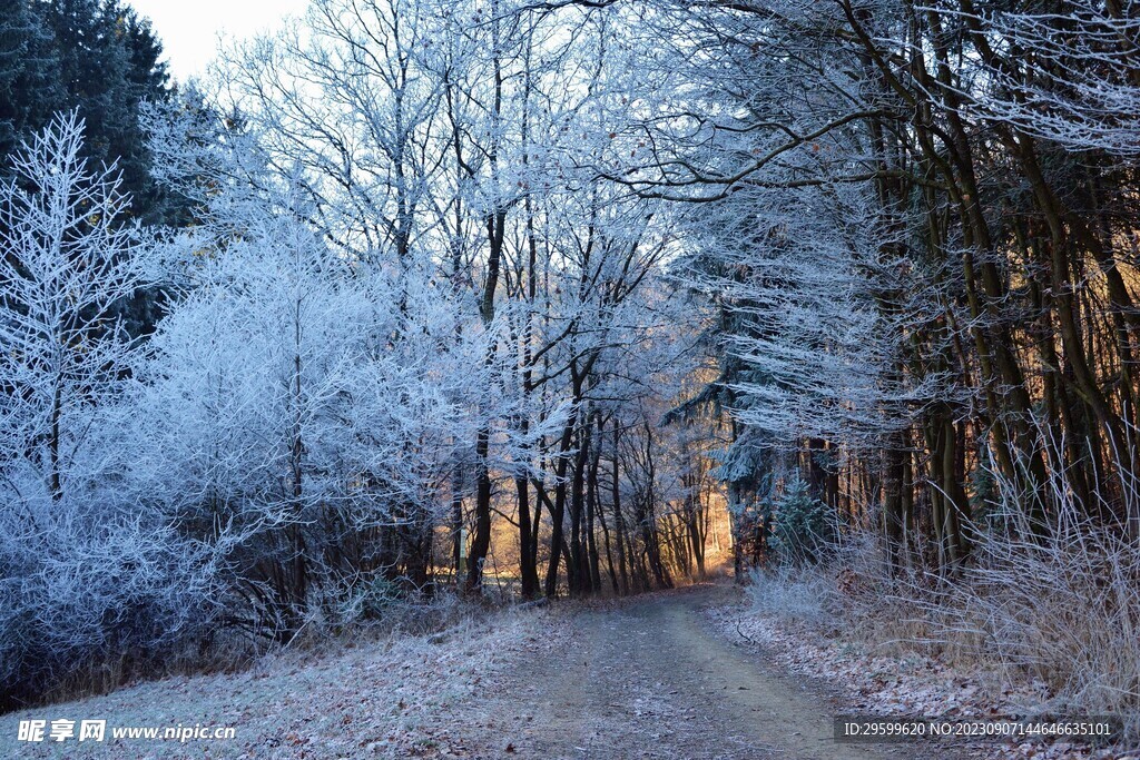 雪景