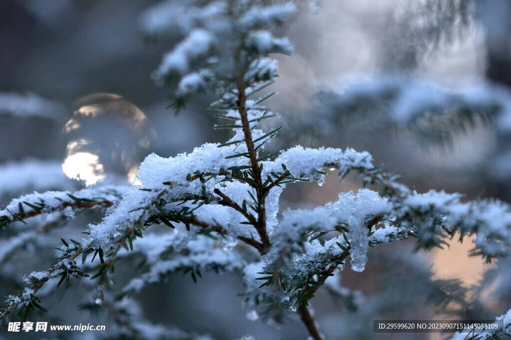 雪景