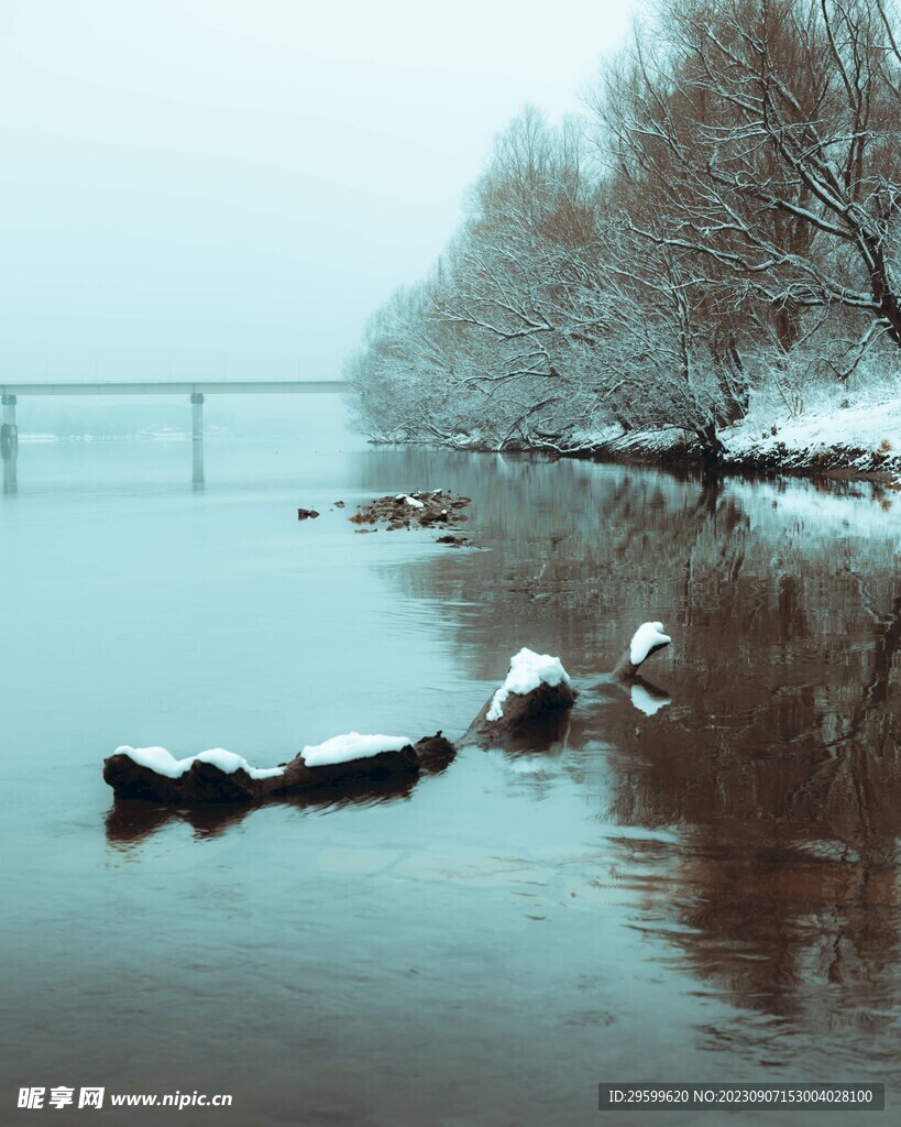 雪景