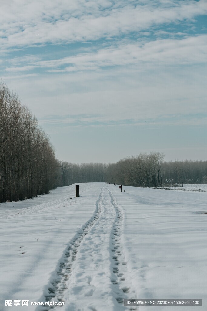 雪地