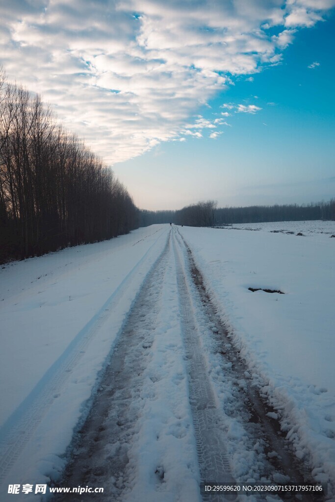 雪地