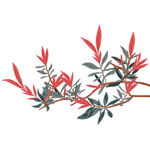 新中式树枝海报展板点缀元素