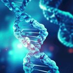 DNA细胞基因模型